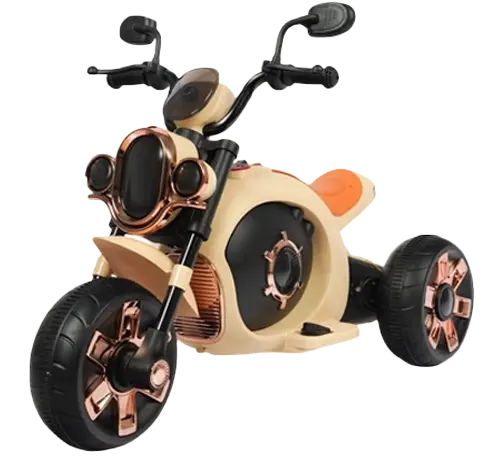 3 Wheel Battery Powered Bike