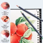12 Color Watercolor Pencil Set for Drawing