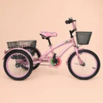 three wheel bicycle