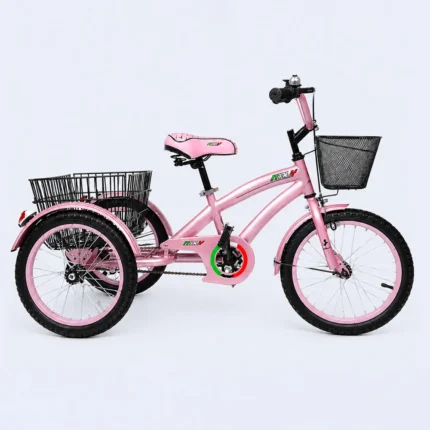 Pink 20 Inch Tricycle for Kids