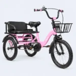 Tricycle with Basket