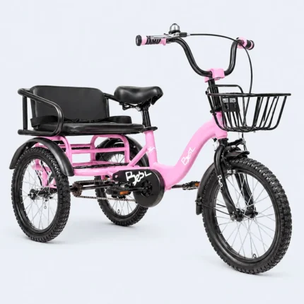 Tricycle with Basket
