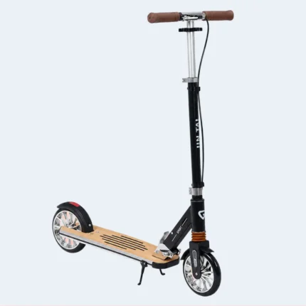 Foldable Kick Scooter