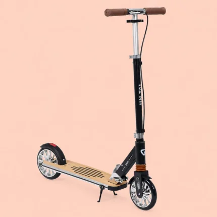 Foldable Kick Scooter