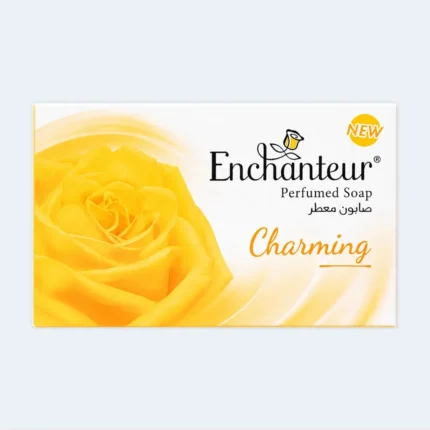 Enchanteur