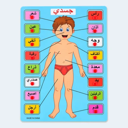 Arabic My Body Parts Educational Learning Board for Kids