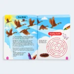 Dreamland STEM Science Activity Book for Kids