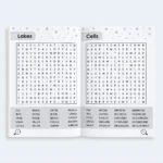 Brain Games Word Search Puzzle Book – 170+ Puzzles