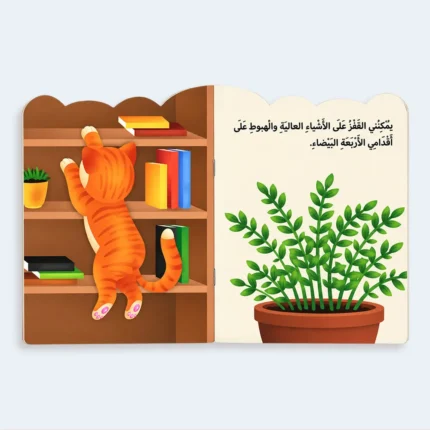 I Am a Cat – Arabic Kids Animal Picture Story Book