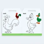 Birds Colouring Book for Kids – My Colour House