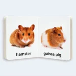 My Little Library – Farm Animals and Pets Learning Book for Kids