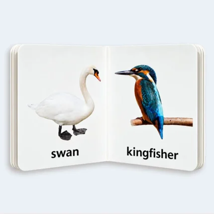 My Little Library – Birds Learning Book for Kids