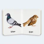 My First Words – Birds Learning Book for Kids