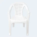 Classic Plastic Chair with Armrests – 80 × 57 cm