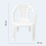 Classic Plastic Chair with Armrests – 80 × 57 cm